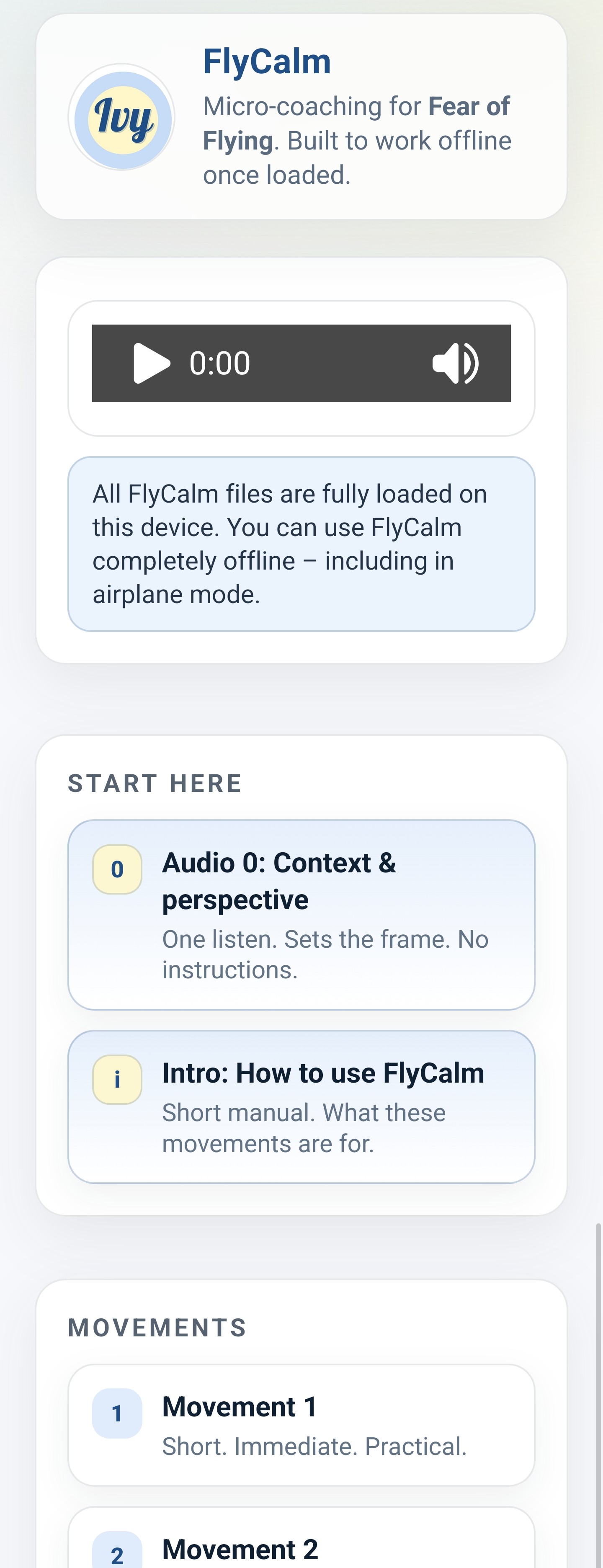 FlyCalm movements overview on screen